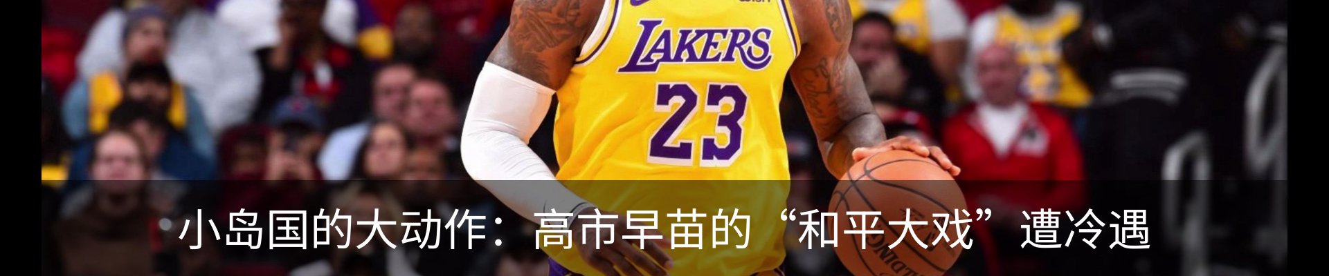 资讯动态