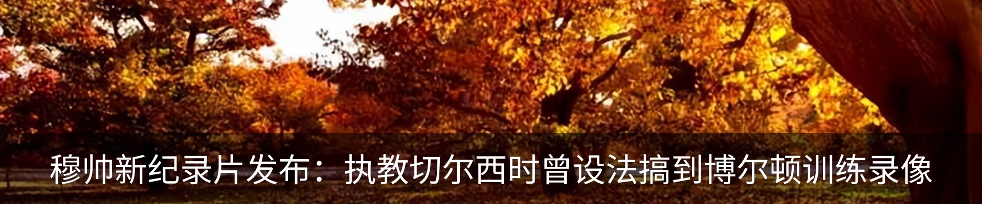 资讯动态